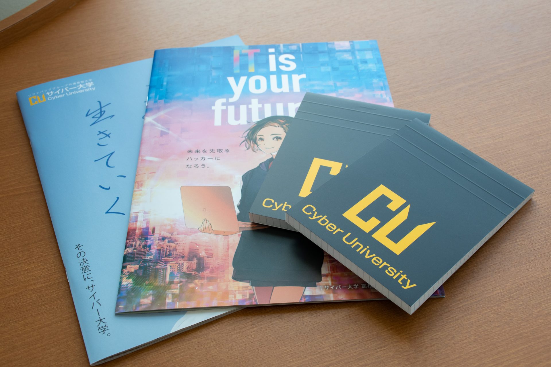 サイバー大学パンフレット